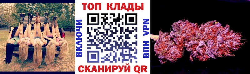 Купить закладку Alpha-PVP  Меф  Гашиш  Бошки Шишки  Междуреченск