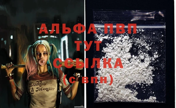 СК Аркадак