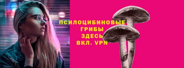 СК Аркадак