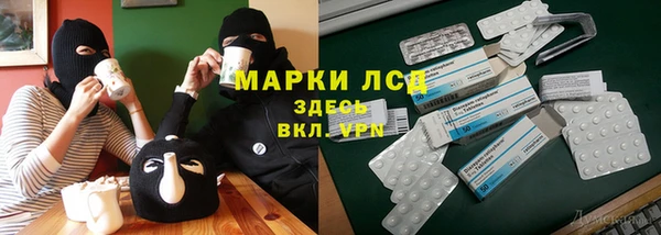 СК Аркадак