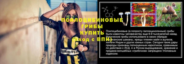 СК Аркадак