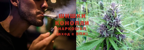 шишки Армянск