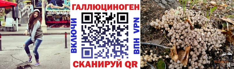 Купить где  Междуреченск  Галлюциногенные грибы Magic Shrooms 