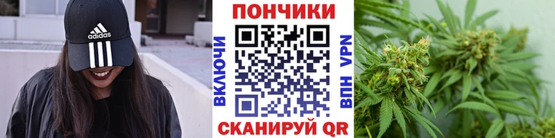 Купить где  Междуреченск  Бошки марихуана ГИДРОПОН 